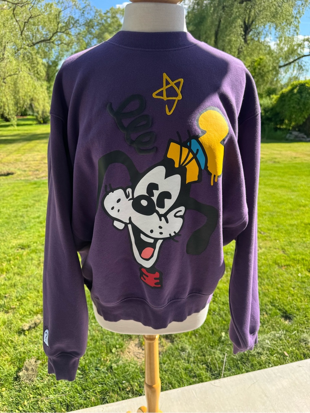 Disney Goofy Graphic Sweatshirt